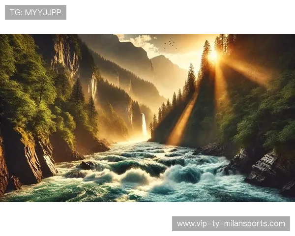 太阳强势反弹——重启自然的力量，唤醒生活的活力