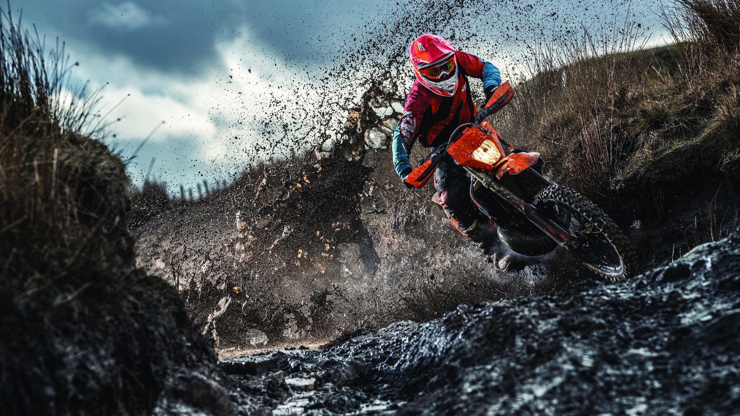 “美洲狮队奋勇拼搏,征战橄榄球冠军锦标赛”